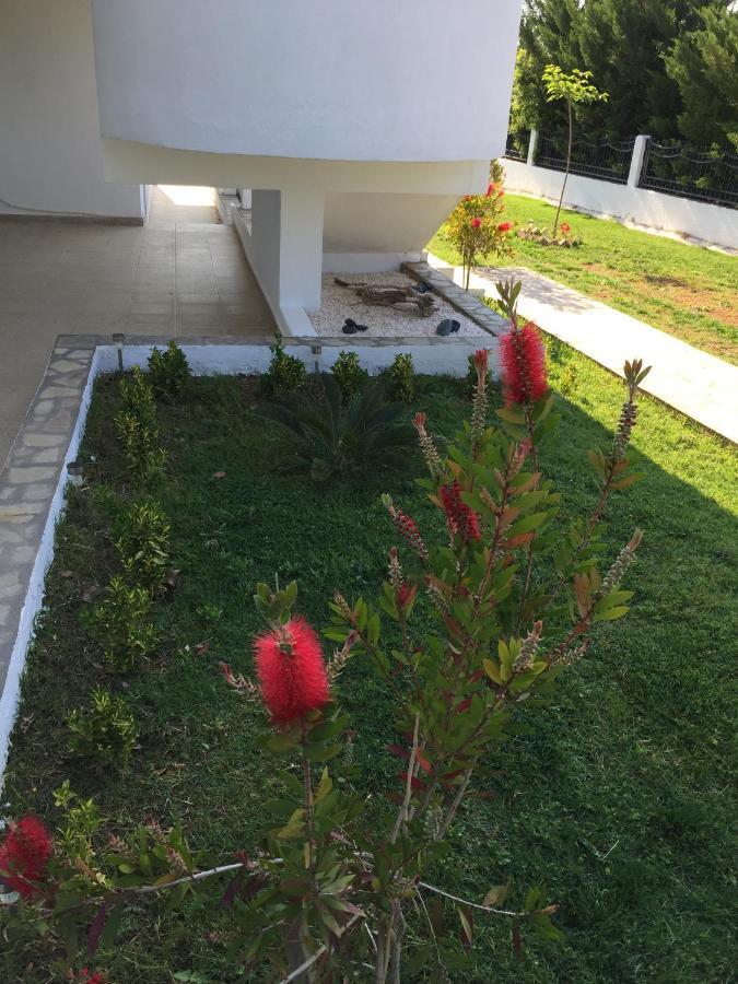 Simplicity At Iris Accommodation Psakoudia Ngoại thất bức ảnh
